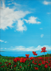 Poppies 2010